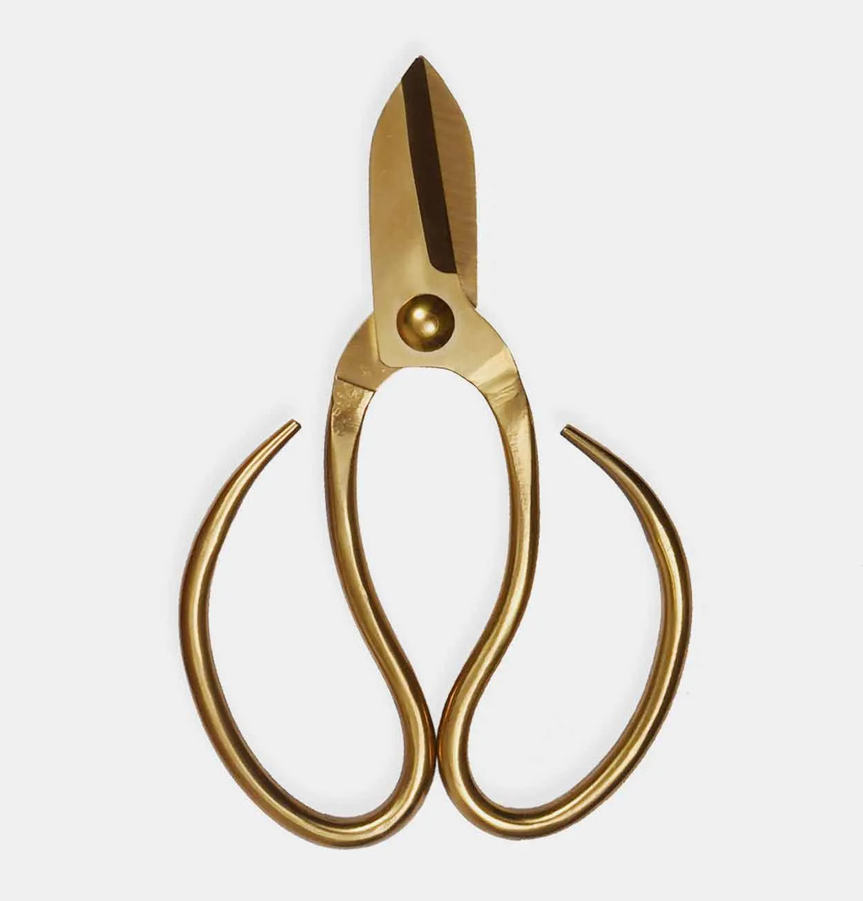 Garden Trading Garden Scissors with Carry Case