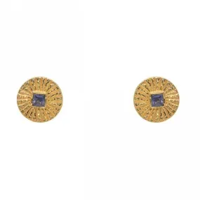 Hammered Iolite Gold Plated Post Earrings