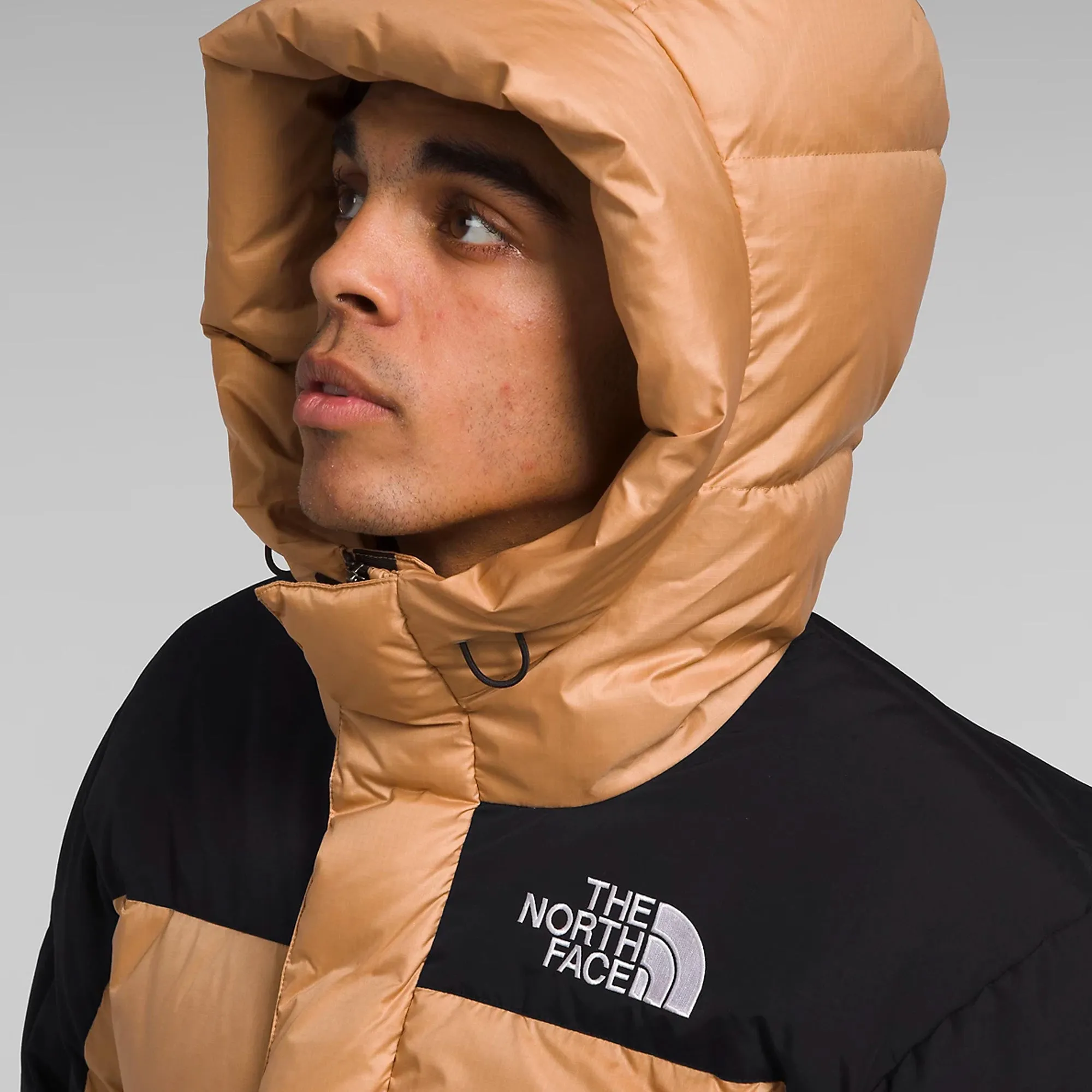 The North Face Mens HMLYN Down Parka